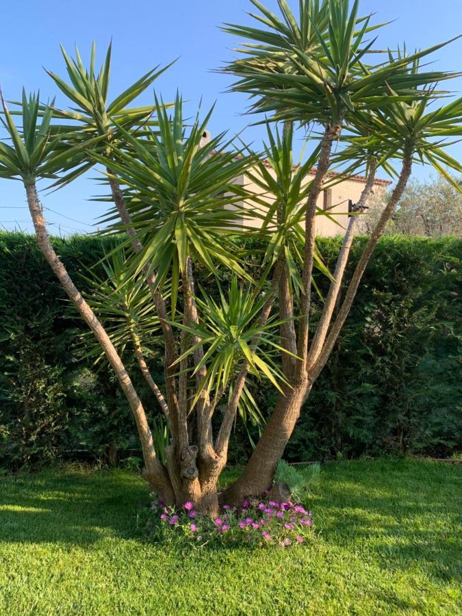 Villa Elimia Piscine Privee & Chauffee Antibes Exteriör bild